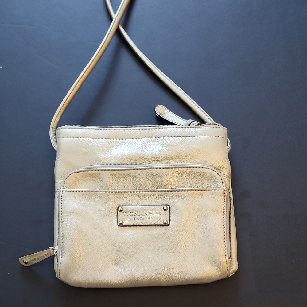 Tignanello Metallic Silver Leather Crossbody Bag.